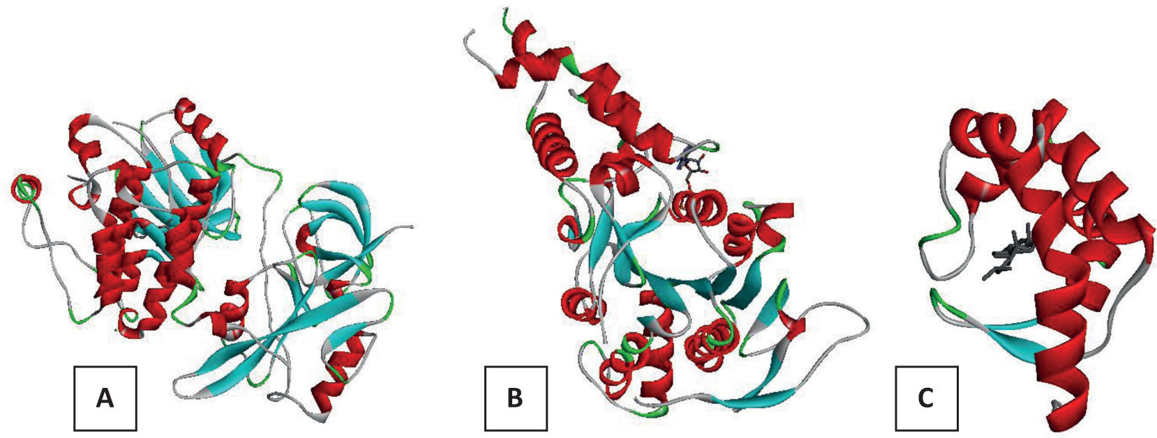 Figure 1 Crystal structure of (A) hematopoietic cell kinase (2HCK)-quercetin complex, (B) ATPase (2OBM) from the type III secretion system and (C) Beta-cryptogein(1LRI)-cholesterol complex.