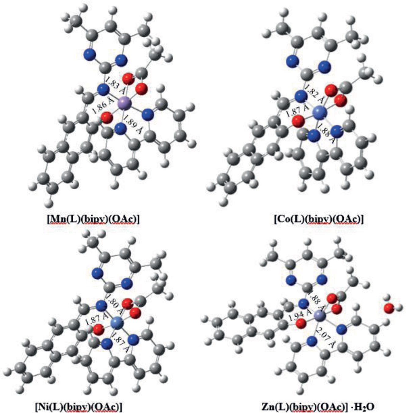 Figure 4 Optimized structures of metal-ligand complexes with bond distances obtained at B3LYP/6-31+G(d,p)+LANL2DZ.