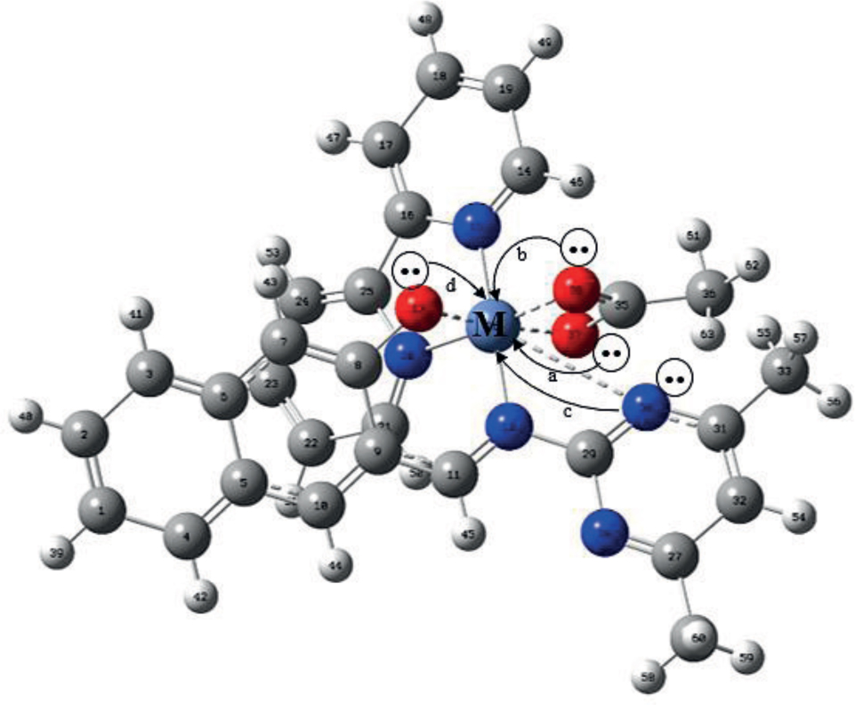 Figure 6 Representation of intermolecular charge transfer or the complexes obtained from the Fock-matrix in NBO analysis. The curved arrows (a, b, c and d) represent the direction of charge transfer from lone pair to antibonding (LP→LP* and σ*). M = Co2+, Zn2+, Ni2+, Mn2+.