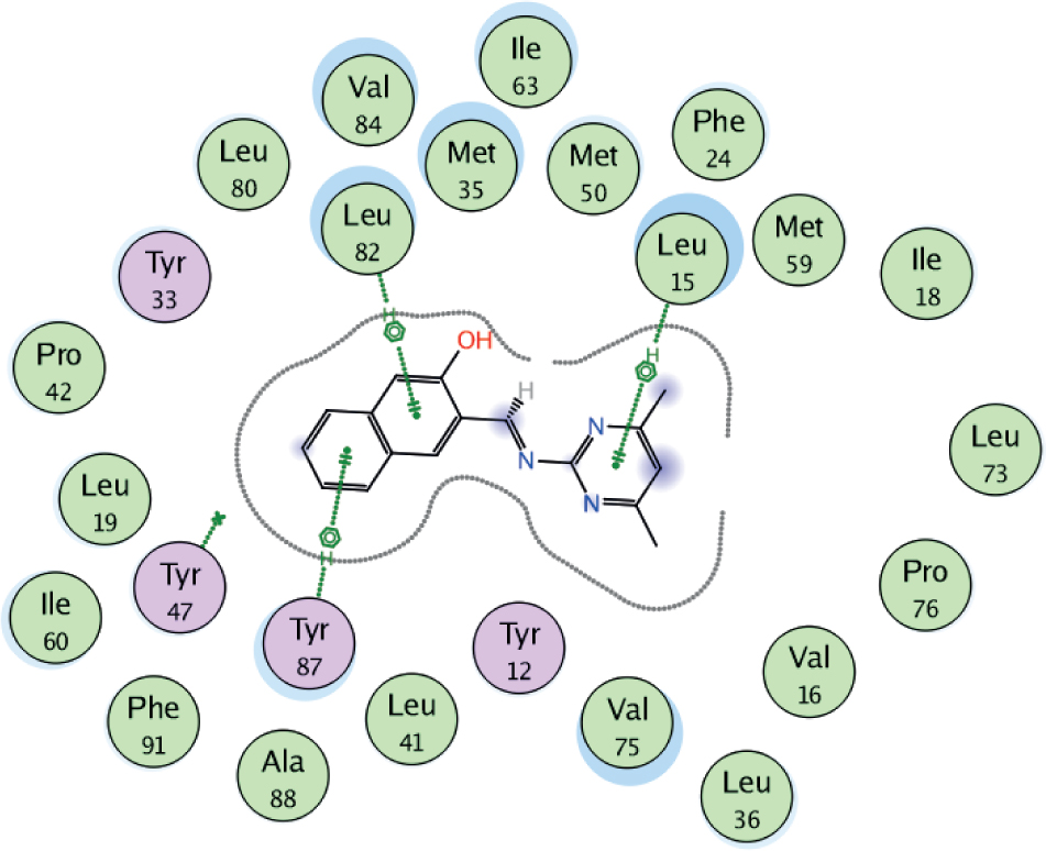 Figure 11 2D Ligand Interactions between 1LRI and HL.