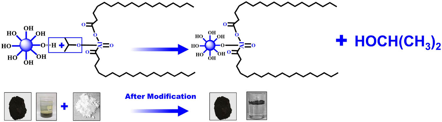 Figure 2
Schematic of the CFA modification process.