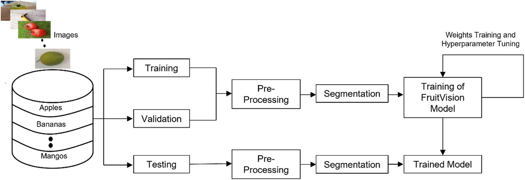Figure 1
Workflow of proposed FruitVision system for fruit grading.