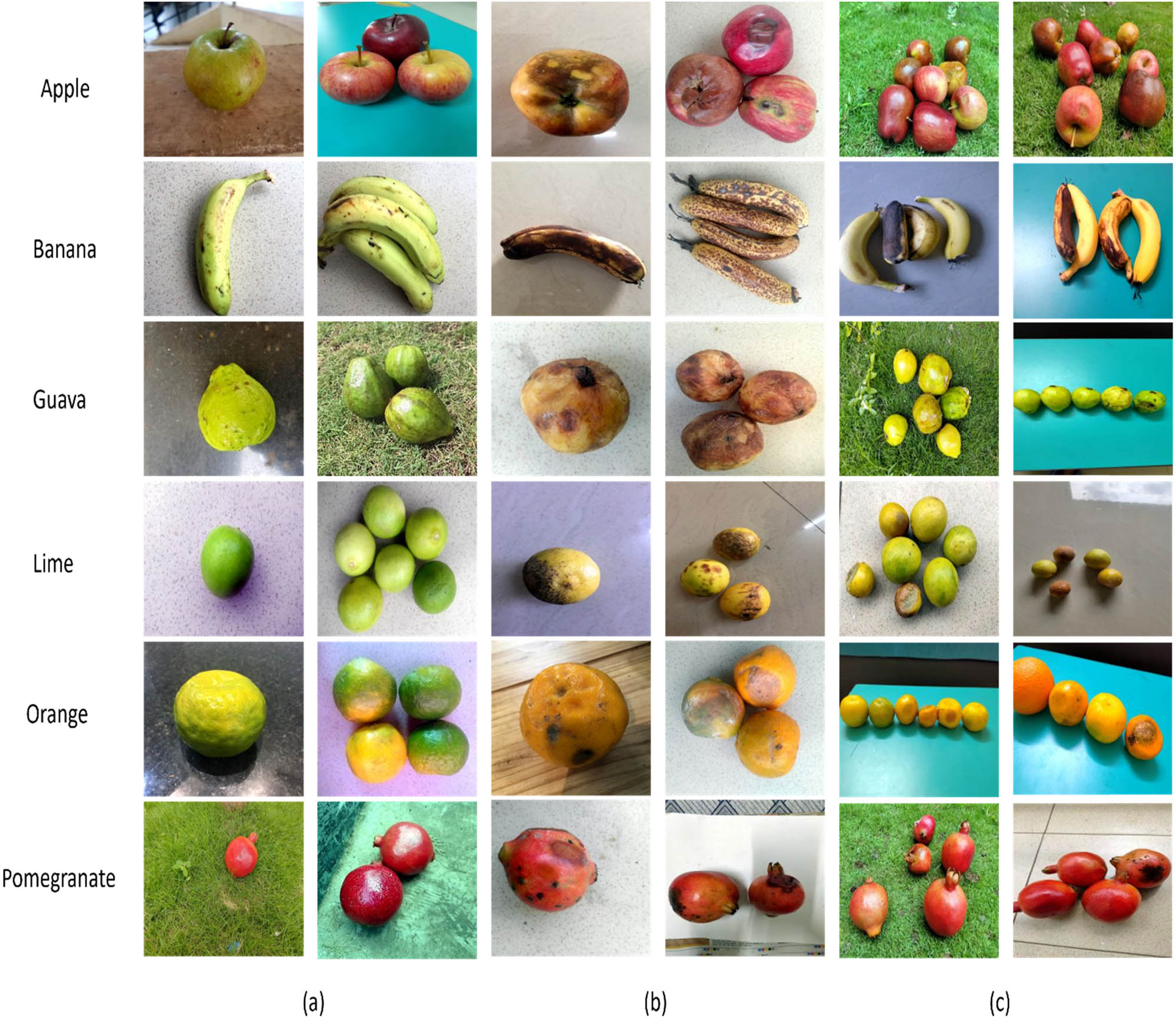 Figure 2
Sample images from the FruitNet Dataset: (a) Good quality, (b) Bad quality, and (c) Mixed quality.