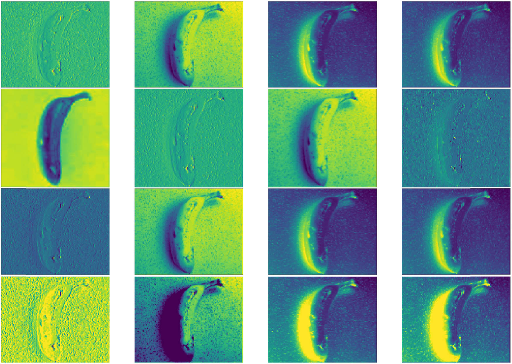 Figure 8
Deep Features learned by FruitVision Model for the Banana Dataset.