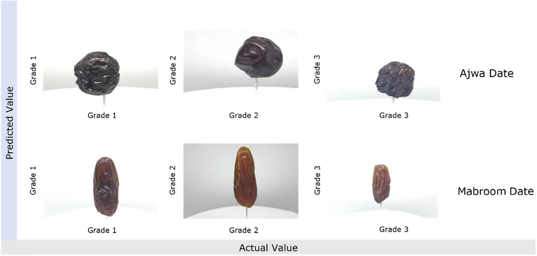Figure 13
Prediction results of the proposed FruitVision model for the Second Dataset.