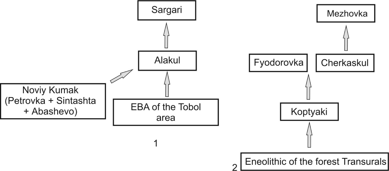 Figure 12 Scheme of Alakul culture genesis of T.M. Potemkina (1983, 1985, 1994) (1) and Fyodorovka-Cherkaskul cultural genesis of M.F. Kosarev (1981) (2).