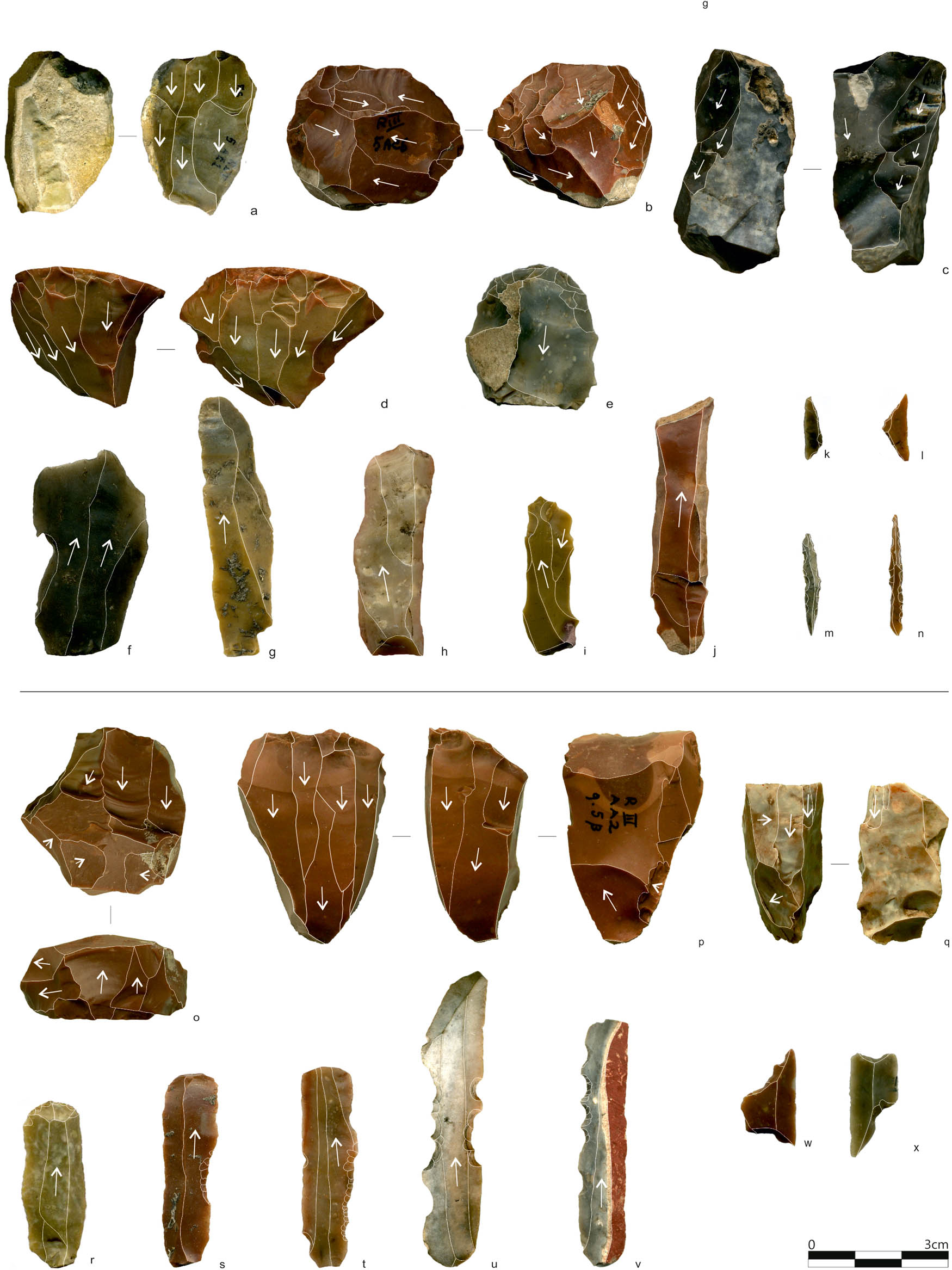 Figure 6
Romagnano Loc III rock shelter: selection of lithic artefacts from the Sauveterrian layers AF-AE, AC9-1 (a – facial exploitation, b – peripheral exploitation, c – on-edge exploitation, d – semi-tournant exploitation, e – endscraper, f–j – débitage products, k, l – triangles, m, n – double backed points) and the Castelnovian layers AB3-1 and AA2-1 (o – facial exploitation, p – semi-tournant exploitation, q – on edge exploitation, r – endscraper, s, t – retouched bladelets, u, v – retouched blades, w, x – trapezes).