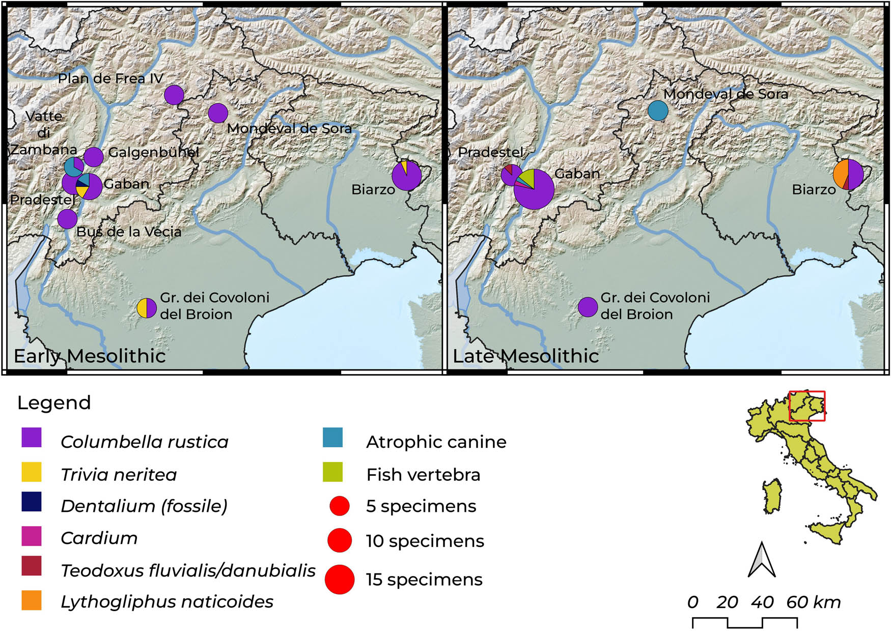 Figure 10
Distribution of ornamental beads in Early and Late Mesolithic contexts of northeastern Italy.