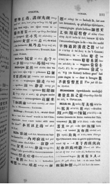 Aufgeschlagene Buchseite mit chinesischem und niederländischem Text